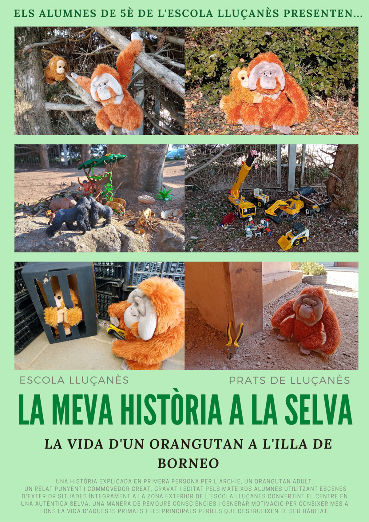 La meva història a la selva