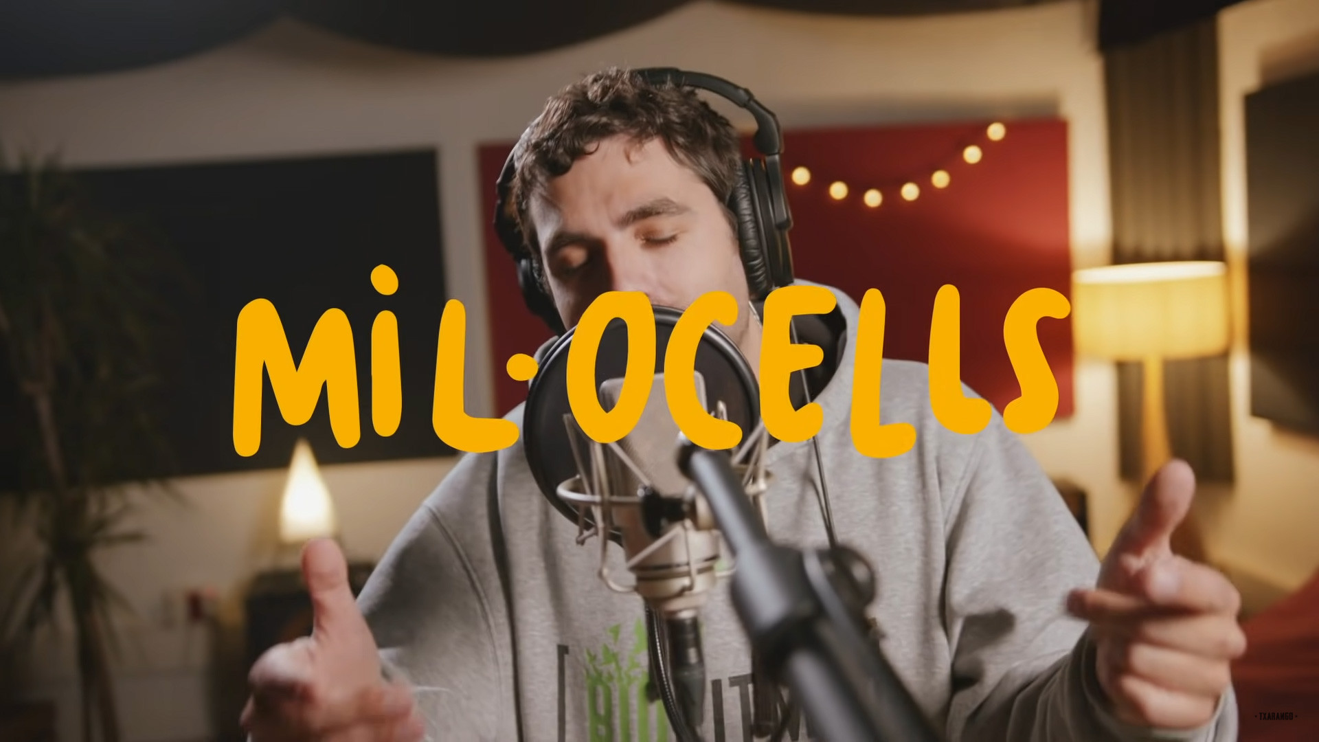 Mil ocells