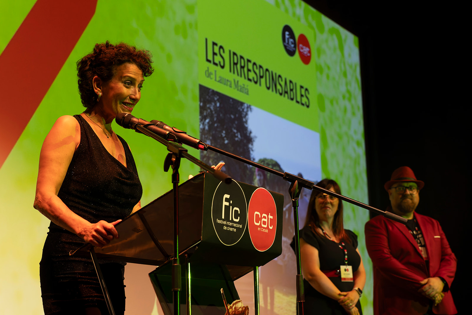Les irresponsables